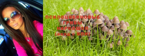 ALPHA PVP Армянск