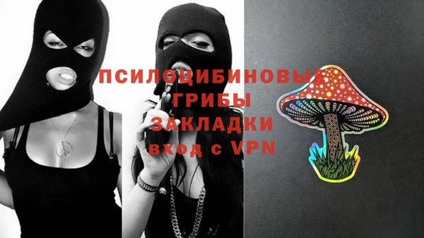 apvp Балабаново