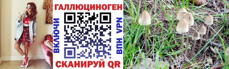 Галлюциногенные грибы Cubensis  магазин продажи   Армавир 
