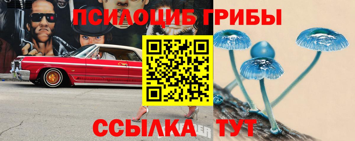 Армавир  Галлюциногенные грибы мицелий  Галлюциногенные грибы Psilocybe  Вход с VPN 