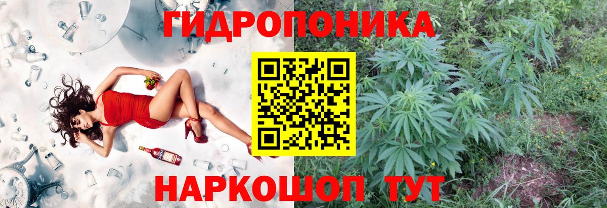 Армавир  Бошки марихуана планчик  Каннабис Ganja  МАРИХУАНА THC 21%  Вход с VPN 